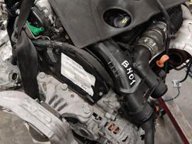 Citroen -kita-, 20GT32 20GE13 20gtbc bh01, Gtd1244vz 98325777880 0001179031 9674077280 983518828001 9835688