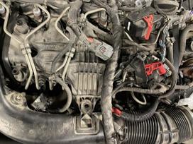 Volvo V70, D5244T14, двигатель