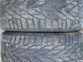Nokian, зимние 275/40 R21