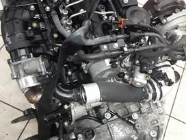 Hyundai Santa Fe, D4HB, differential, gearbox, clutch kit