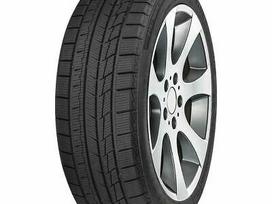 Fortuna GOWIN UHP3, winter 255/35 R19
