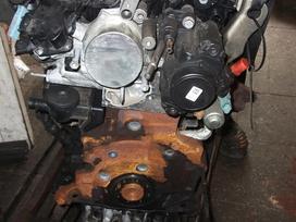 Volvo V50 детали двигателя