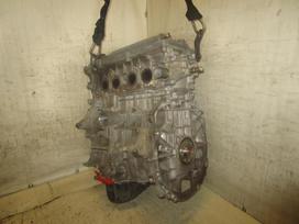 Toyota Avensis, 1AZ-FSE, engine