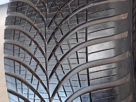 Goodyear, vissezonas 255/45 R19