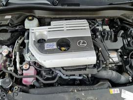 Lexus UX klasė, M20A-FXS, Tik variklis deze ir dalys aplink varikli traversas amortizat