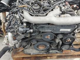 Audi A6, 059145715F 059145725J cvw