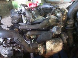 Hyundai Accent dalimis. Hyunday accent 1 5 dyzelis geras variklis