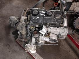 Volkswagen -kita-, Bmm kxw bls KND 038130073bq 038145209 03