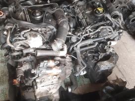 Volkswagen Caddy, BLs, Yra daugiau ardomu auto ir varikliu galimas pristatymas bsu bst