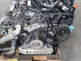 Mercedes-Benz Sprinter Mb sprinter autodetalės 2006 2019m 2 2td 3 0td automat mec