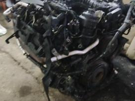 Volkswagen Amarok Tik variklis daimis pilnas