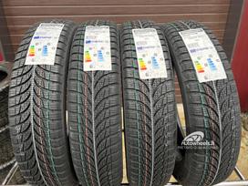 Bridgestone Blizzak LM-500, зимние 155/70 R19