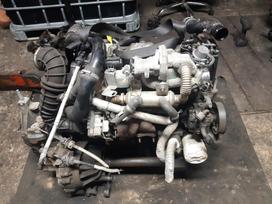 Ford Transit Connect Yra daugiau ardomu auto ir varikliu galimas pristatymas