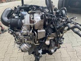 Mazda 6, SH01, Sh01 variklis variklio dalys pavarų dėžės