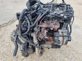 Hyundai i10, D3FA, по частям. Variklis d3fa variklio dalys pavarų dėžė