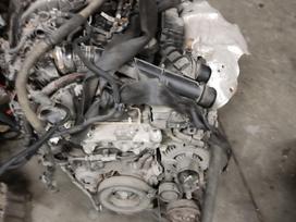 Citroen Berlingo, YH01 bhy dv6fc