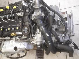 Opel Insignia Variklis beges 60000km
