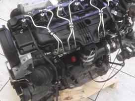 Volvo V70, D5244t17, детали двигателя
