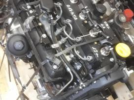 Opel Astra, A17DTS, Variklis beges 80000km turime varikliu ir dalimis