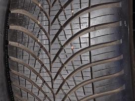 Goodyear, vissezonas 225/55 R17