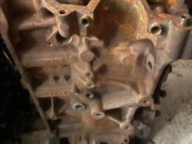 Ford Transit variklio blokas