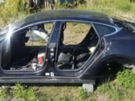 Tesla Model S Kebulas visas arba pjaustom europa