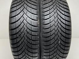 Semperit Speed Grip 5 2022m, зимние 195/60 R16