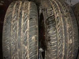 Firestone, vasarinės 205/60 R15