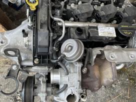 Ford Grand C-MAX, M1DD, детали двигателя
