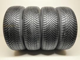 Continental AllSeasonContact 2020m, universalios 225/55 R17