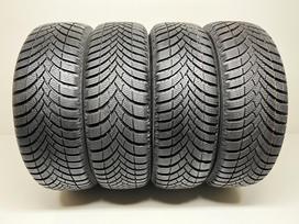 Semperit Speed Grip 5 2024m, žieminės 185/65 R15