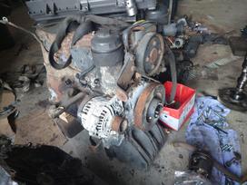 Mercedes-Benz Atego, trucks