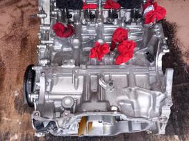 Lexus UX 250h, M20A, Variklis su defektu nera balansyro