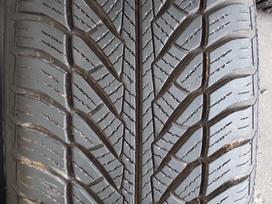 Goodyear, winter 205/55 R16