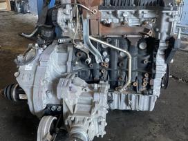 SsangYong Korando, D22DTF 672950, Ssangyong korando 2 2 pinas variklis kuro sistema generatoriu