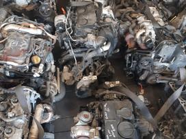 Volkswagen Passat Yra daugiau ardomu auto ir varikliu galimas pristatymas 74 85 96