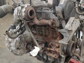 Volkswagen Passat, CBA kmy