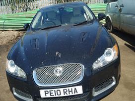 Jaguar XF dalimis