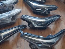 Toyota C-HR, 81110-F4031, Visos lempos su defektais neta tvirtinimu