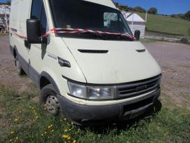 Iveco Daily, cargo vans