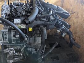 Mercedes-Benz A180, 282.914, Tik variklis automatine deze ir dalys aplink varikli