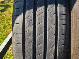 Goodyear, vasarinės 225/55 R19
