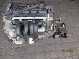 Ford Focus Variklis 1 6b fydb