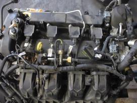 Jaguar XF, PT204, Tik variklis automatine greiciu deze ir dalys aplink varikli
