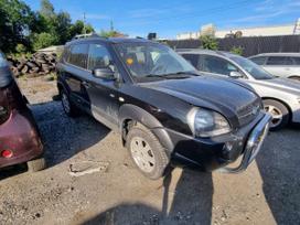 Hyundai Tucson Europa turime du vienetus vienas automatas vienas mechanika