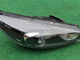 Ford Focus Zibintas europa desine puse