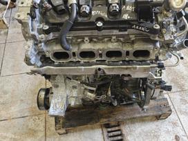 Renault Megane, M5pm4m4