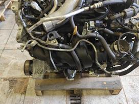 Nissan X-Trail, MR16, Variklis mr16 beges 60000km taip pat turime mechanine pavaru de