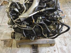 Nissan Qashqai, Mr16