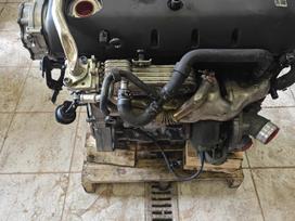 Volkswagen Touareg, Bac